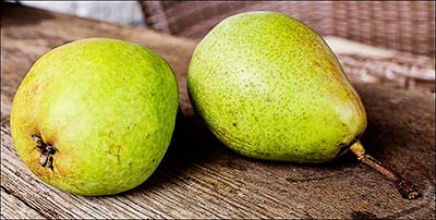Peren